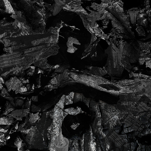 美女露出奶头100%无遮挡
