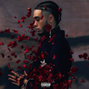 美女露出奶头100%无遮挡
